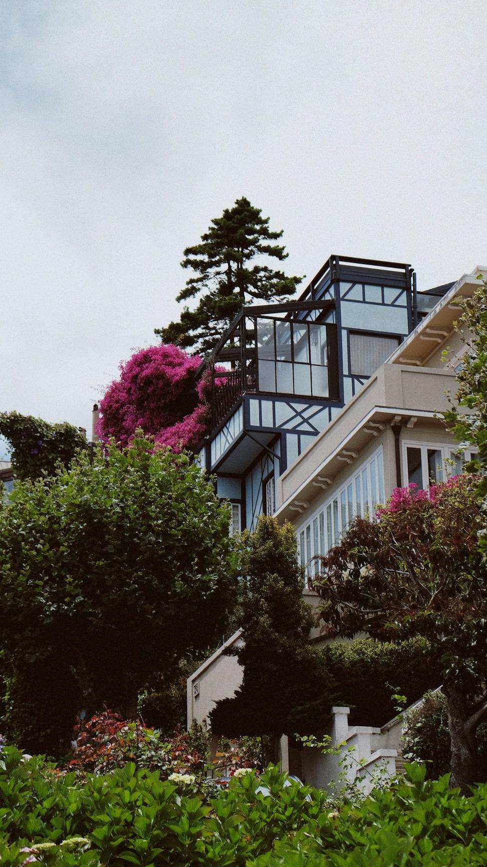 Rosedale Modern Residence